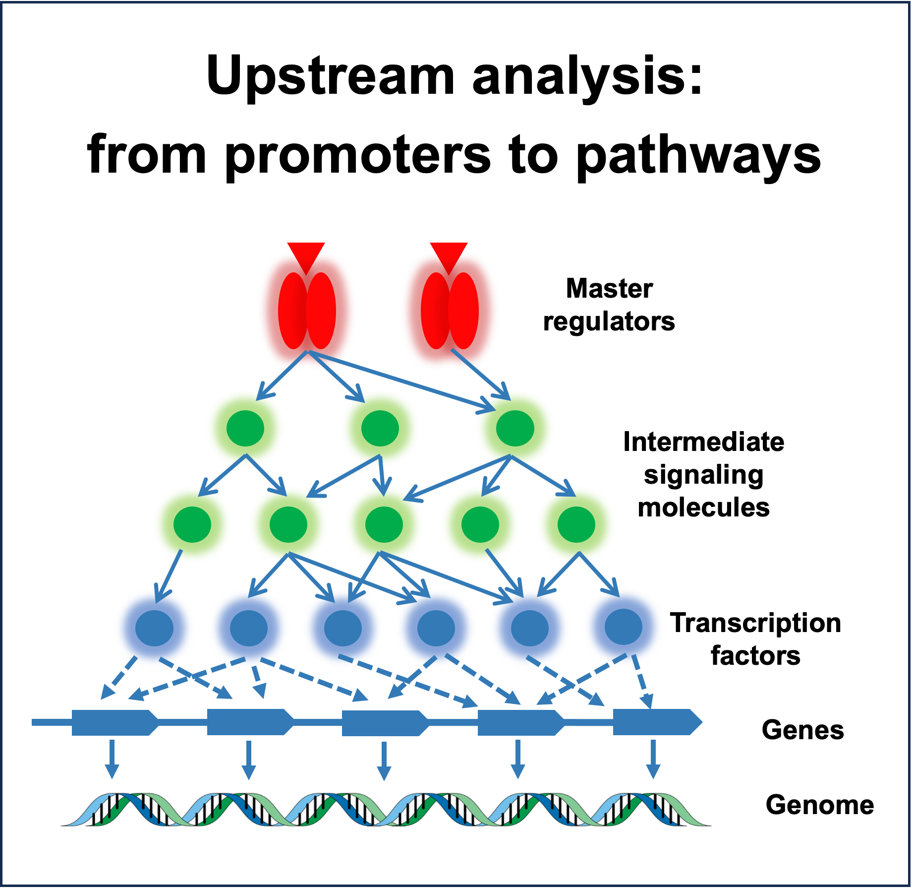 No-coding Bioinformatics Academy Updated Pathway Schema