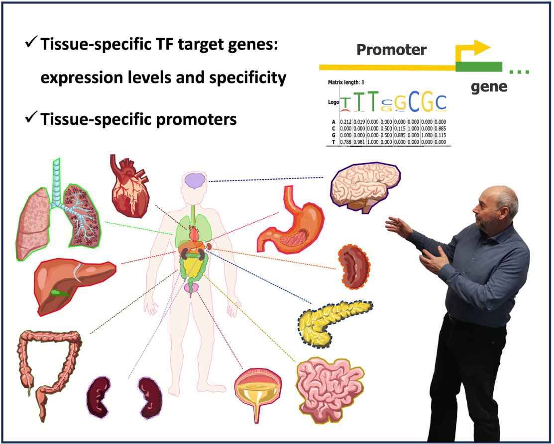 How to Find Tissue-specific TF Target Genes Free Course