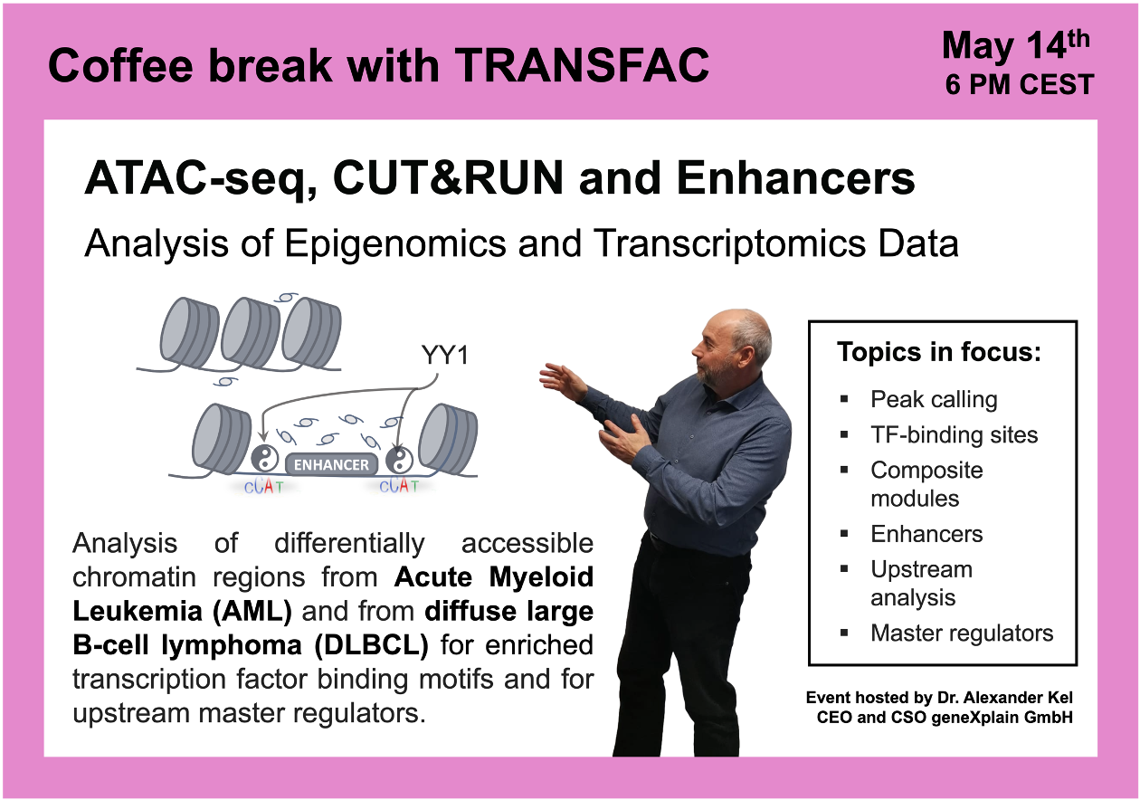 ATAC Seq CUTRUN And Enhancers