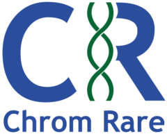 Cropped Logo Con Contorno Bianco
