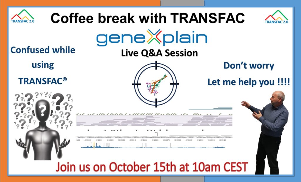 Live QA Session 1024x621