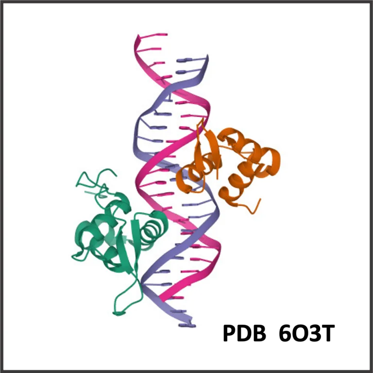 PDB 6O3T 768x768 1