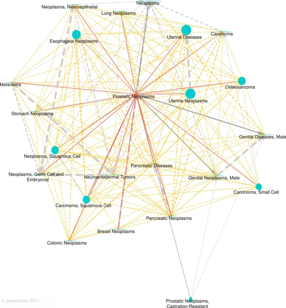 Prostatic Neoplasms Disease Similarity Map 1427x1536 1 951x1024
