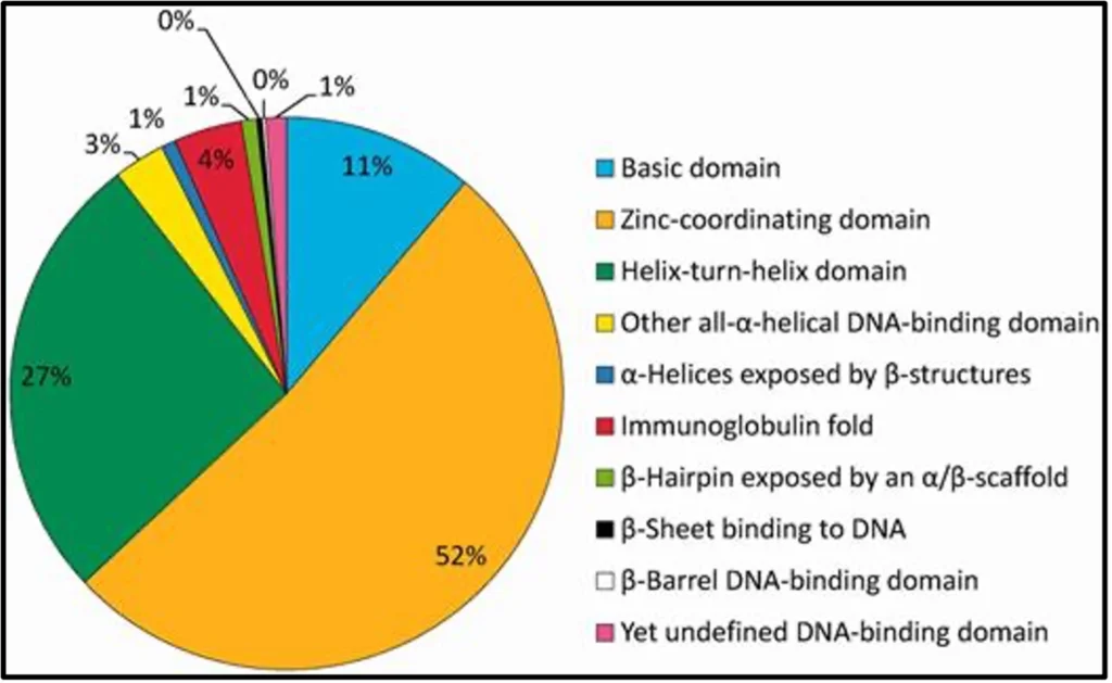 Transcription Factor Binding Domains Distribution 1024x629