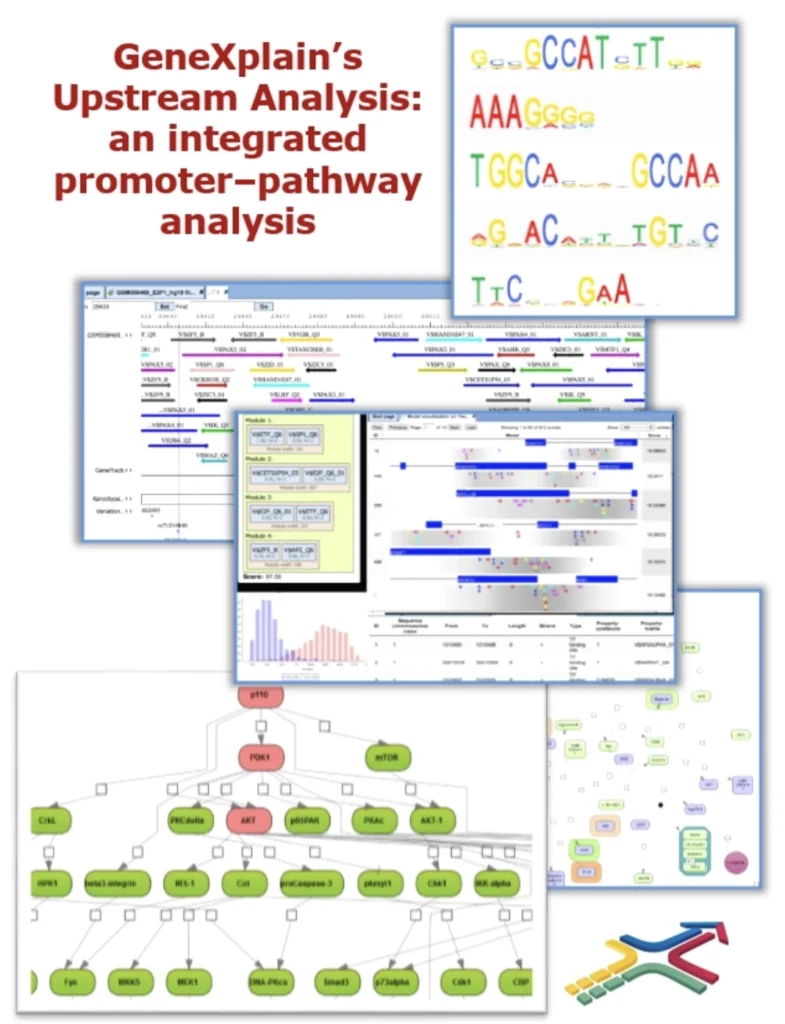 Concept Of Upstream Analysis 785x1024
