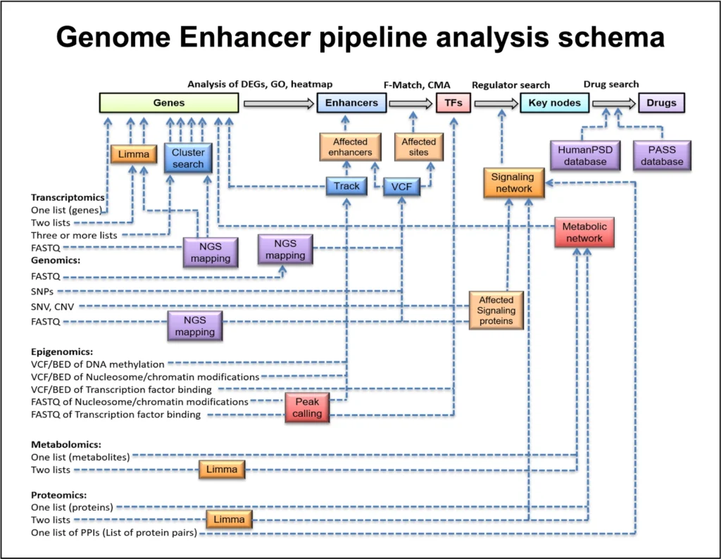 Genome Enhancer Pipeline Analysis Schema 1024x794