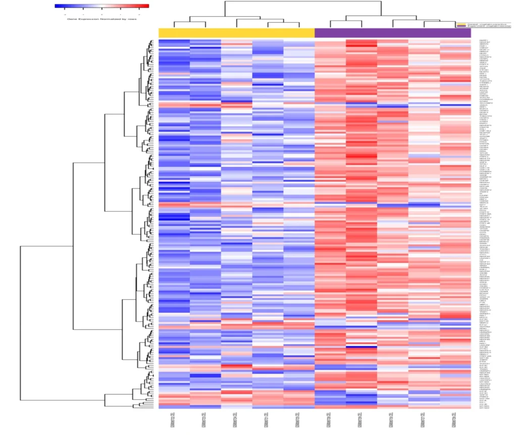 Heatmap Of Differentially Expressed Genes In Cisplatin Resistant Vs. Sensitive Ovarian Cancer Cells Scaled E1749465612201 1024x862