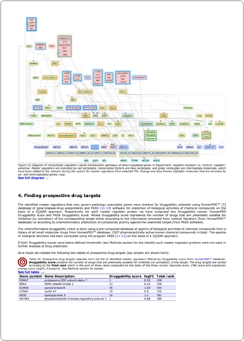 Placeholder Multi Omics Analysis Report