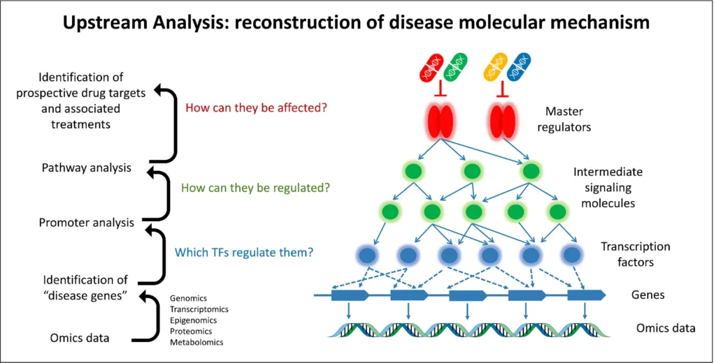 Upstream Analysis Reconstruction Of Disease Molecular Mechanism 1024x520