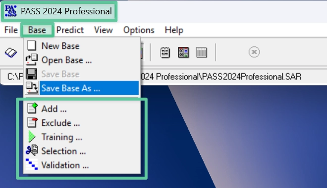 PASS Professional