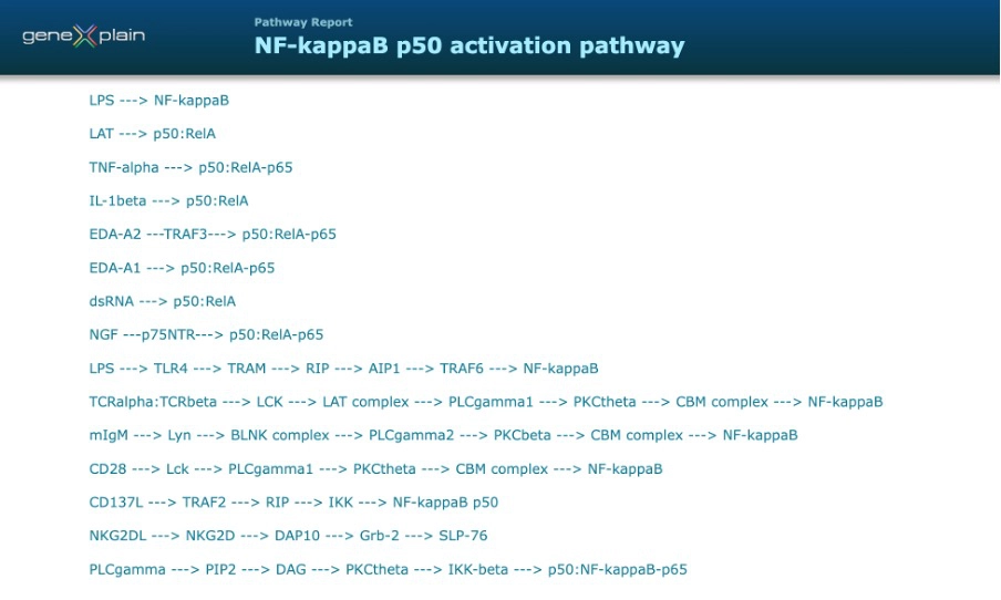 Canonical NF κB Pathway