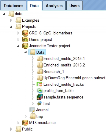 17. Define The Hierarchical Organization Of Your Folders