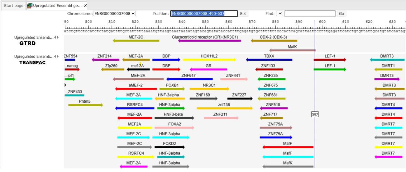 20. Workflow Results