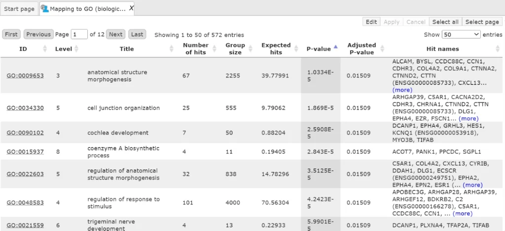 All Output Files Can Be Accessed Here 1024x469