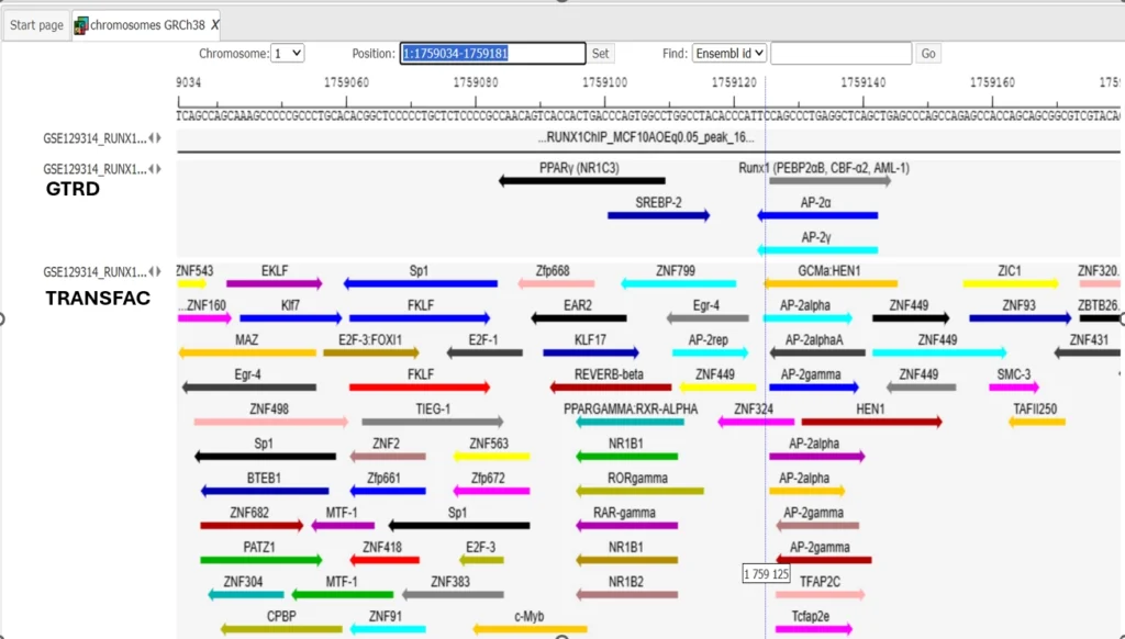 Comparison Of Binding Sites Identified Using GTRD And TRANSFAC 1024x582