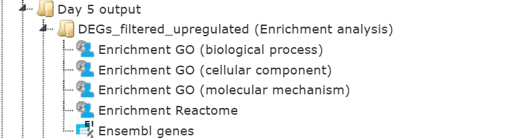 Day 5 Output
