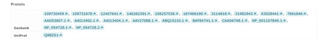 Identifiers 3 1024x132