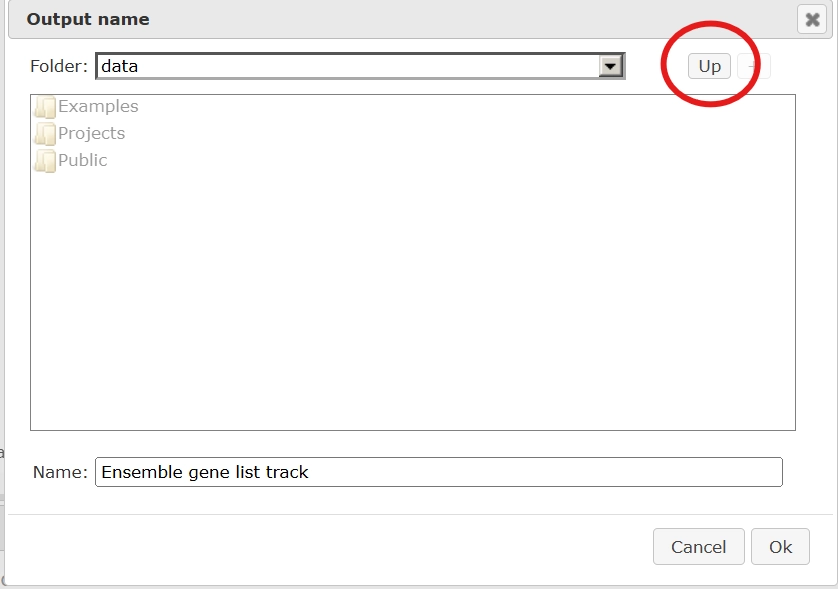 Output Name