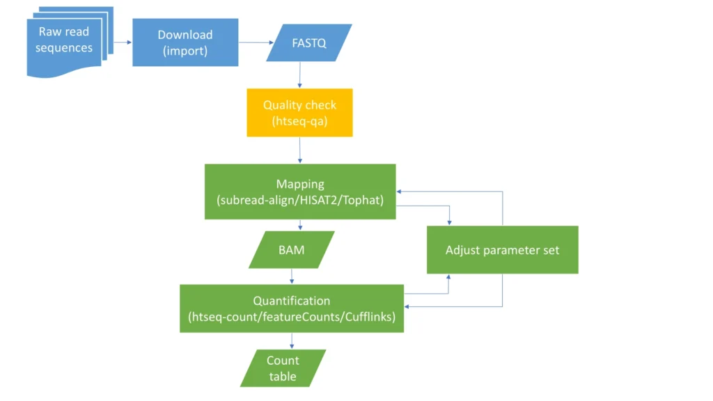 Pre Process RNA Seq Data 1024x576