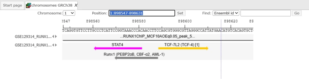 The Output Track File 1024x263