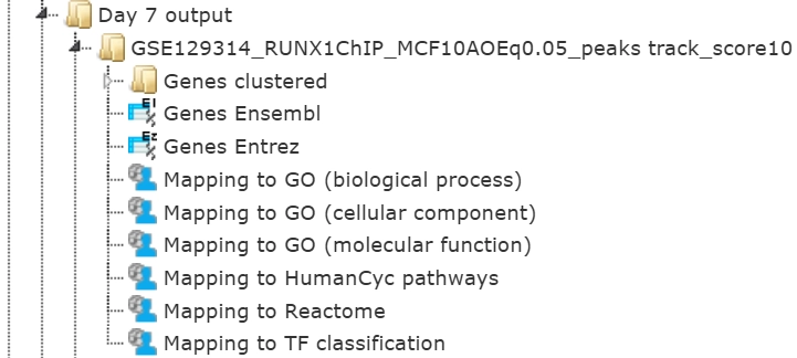Output Files