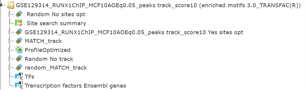 Output Folder Contains Several Track Files