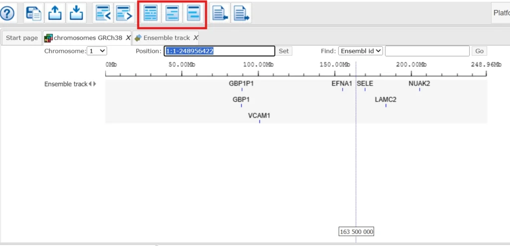 Visualize The Track 1024x494