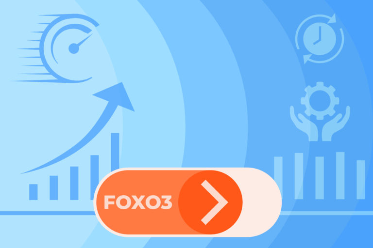 foxo3 the longevity switch inside our cells