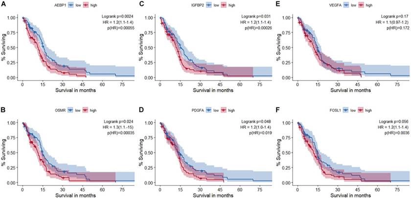 Kaplan–Meier Survival Curves For Glioblastoma