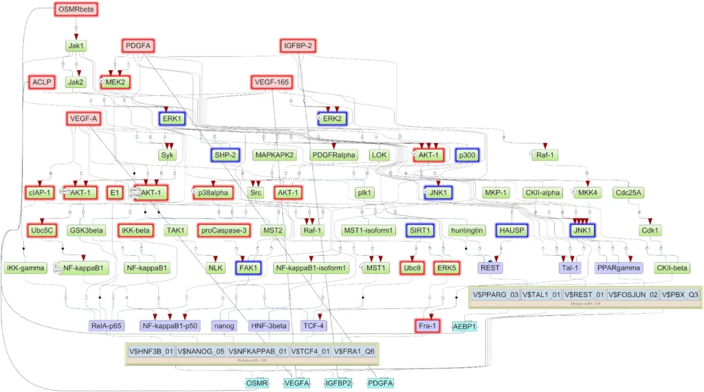 STS Gene Network 1024x570
