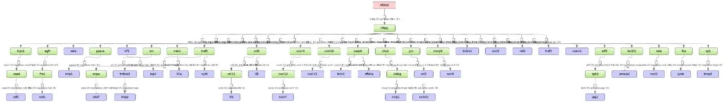 TNF HUVEC NFKB1 Regulatory Network 1024x145