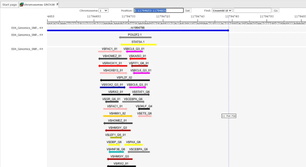 Genome Browser View Of Binding Sites Around SNPs 1024x561