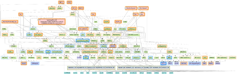 Target discovery, biomarker identification, and hypothesis generation
