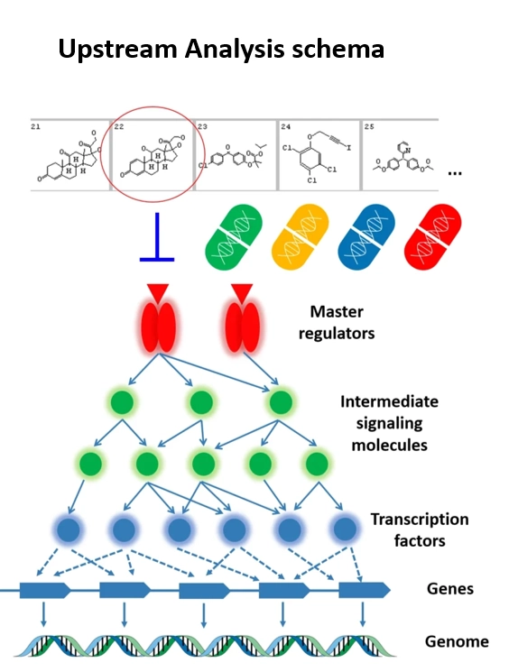 From Gene Lists to Biological Causes: Decoding the “Why” Behind Gene Expression Changes case study upstream analysis in triple negative breast cancer
