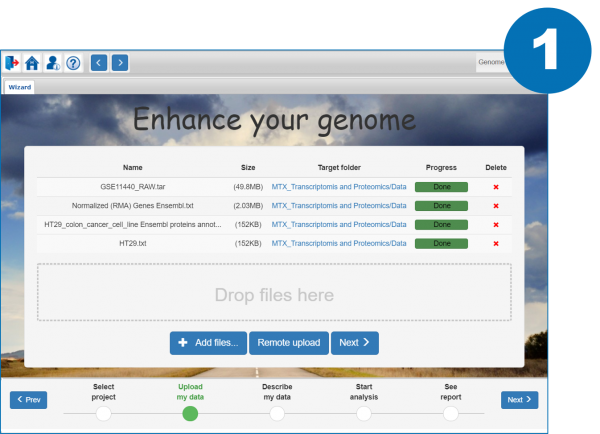 Genome Enhancer step1 600x434
